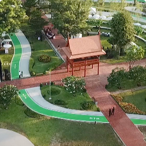 โตโยต้ามืองสีเขียว อยุธยา